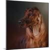 Catching the Breeze Irish Setter-Jai Johnson-Mounted Giclee Print