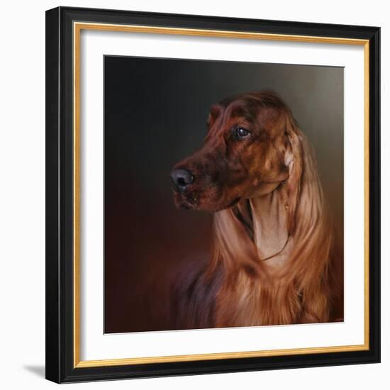 Catching the Breeze Irish Setter-Jai Johnson-Framed Giclee Print