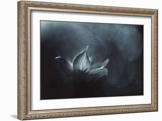 Catching the Light-Penny Myles-Framed Photographic Print