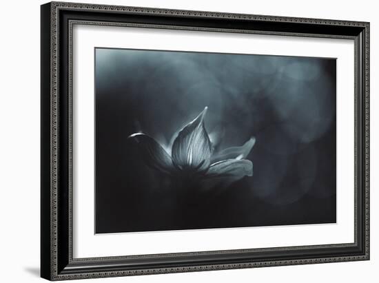 Catching the Light-Penny Myles-Framed Photographic Print