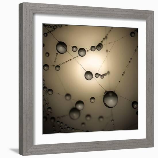 Catching The Sun-Ruud Peters-Framed Premium Photographic Print