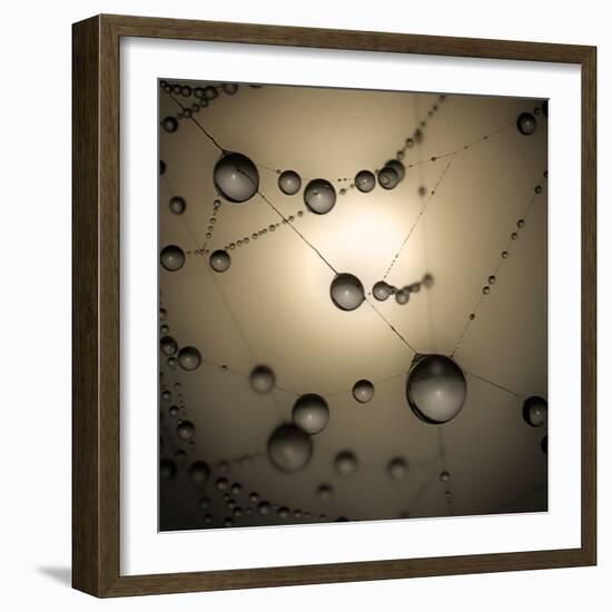 Catching The Sun-Ruud Peters-Framed Premium Photographic Print