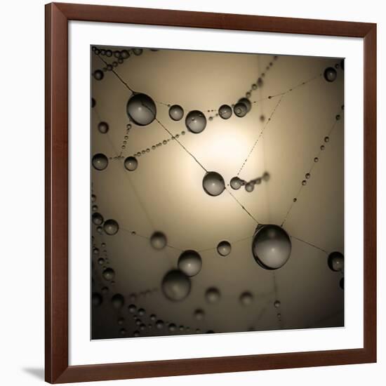 Catching The Sun-Ruud Peters-Framed Premium Photographic Print