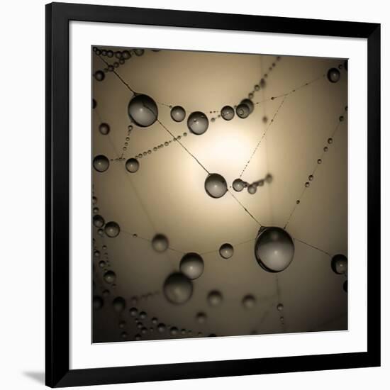 Catching The Sun-Ruud Peters-Framed Premium Photographic Print