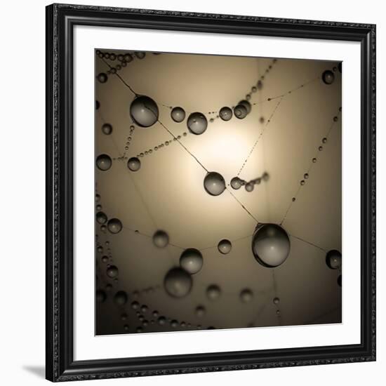 Catching The Sun-Ruud Peters-Framed Premium Photographic Print