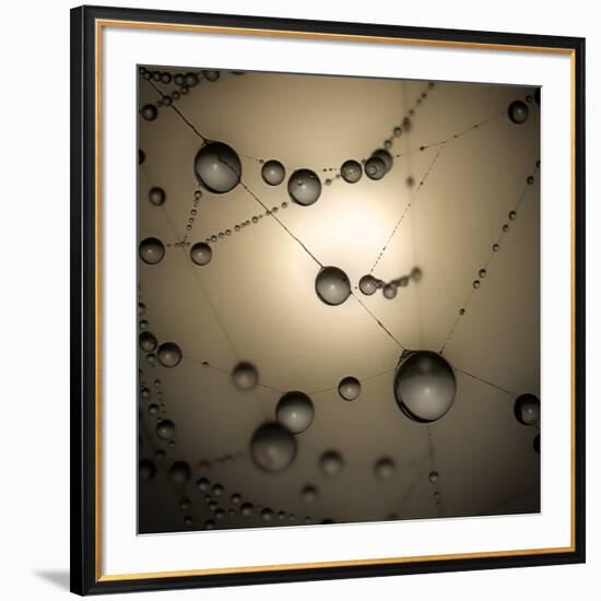 Catching The Sun-Ruud Peters-Framed Premium Photographic Print