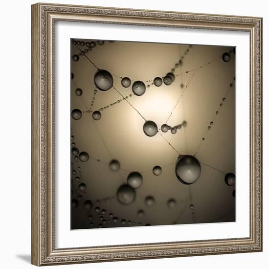 Catching The Sun-Ruud Peters-Framed Photographic Print