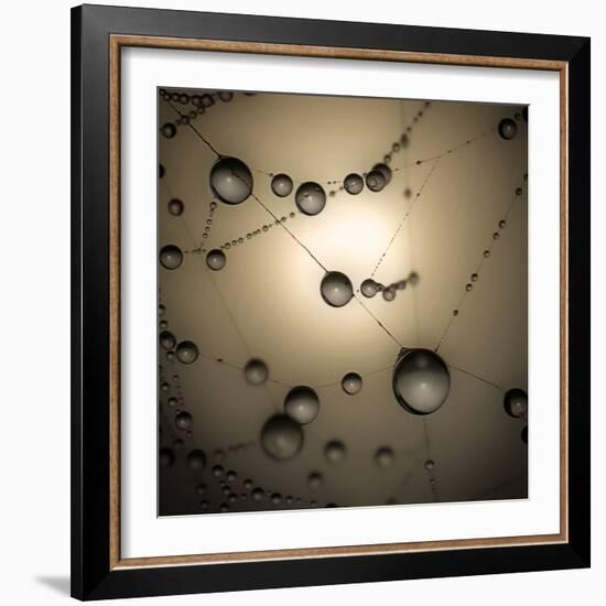 Catching The Sun-Ruud Peters-Framed Photographic Print