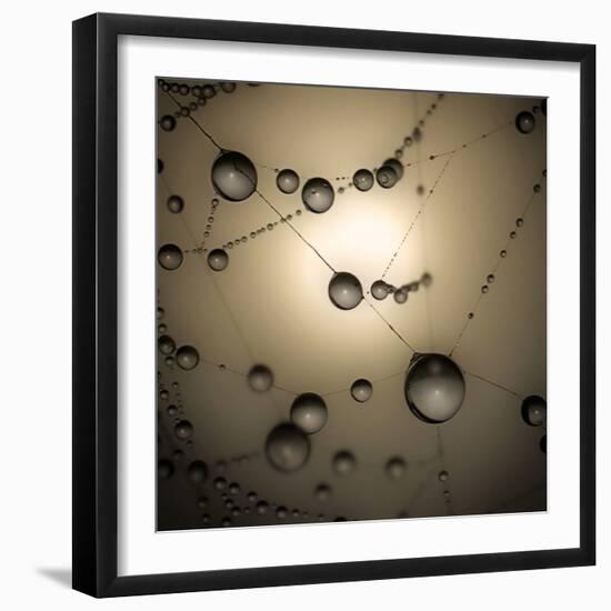 Catching The Sun-Ruud Peters-Framed Photographic Print