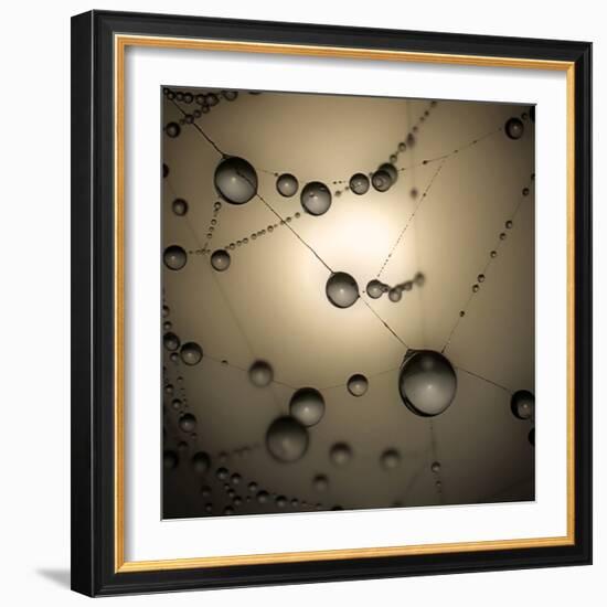 Catching The Sun-Ruud Peters-Framed Photographic Print