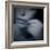 Catching-Gideon Ansell-Framed Photographic Print