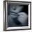 Catching-Gideon Ansell-Framed Photographic Print