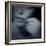 Catching-Gideon Ansell-Framed Photographic Print