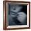 Catching-Gideon Ansell-Framed Photographic Print