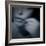 Catching-Gideon Ansell-Framed Photographic Print