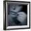 Catching-Gideon Ansell-Framed Photographic Print