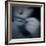 Catching-Gideon Ansell-Framed Photographic Print
