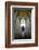 Catedral da Se, Sao Paulo, Brazil, South America-Yadid Levy-Framed Photographic Print