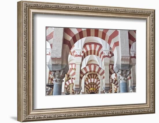 Catedral Mosque of Cordoba, Interior, Cordoba, Andalucia, Spain-Rob Tilley-Framed Photographic Print