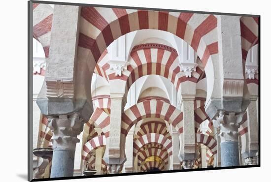 Catedral Mosque of Cordoba, Interior, Cordoba, Andalucia, Spain-Rob Tilley-Mounted Photographic Print