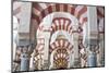 Catedral Mosque of Cordoba, Interior, Cordoba, Andalucia, Spain-Rob Tilley-Mounted Photographic Print