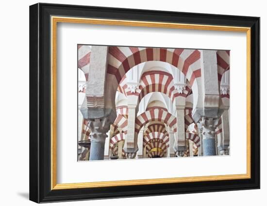 Catedral Mosque of Cordoba, Interior, Cordoba, Andalucia, Spain-Rob Tilley-Framed Photographic Print