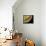 Caterpillar Foot, SEM-Steve Gschmeissner-Framed Premier Image Canvas displayed on a wall