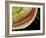 Caterpillar Foot, SEM-Steve Gschmeissner-Framed Photographic Print