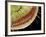 Caterpillar Foot, SEM-Steve Gschmeissner-Framed Photographic Print