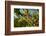 Caterpillar on cactus, Texas, USA-Karine Aigner-Framed Photographic Print