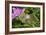 Caterpillar-Gordon Semmens-Framed Premium Photographic Print