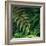 Caterpillars on a Fern-Micha Pawlitzki-Framed Photographic Print