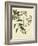 Catesby Bird and Botanical I-Mark Catesby-Framed Art Print