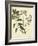 Catesby Bird and Botanical I-Mark Catesby-Framed Art Print