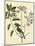 Catesby Bird and Botanical I-Mark Catesby-Mounted Art Print