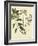 Catesby Bird and Botanical I-Mark Catesby-Framed Art Print