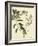 Catesby Bird and Botanical I-Mark Catesby-Framed Art Print