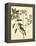 Catesby Bird and Botanical I-Mark Catesby-Framed Stretched Canvas