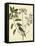 Catesby Bird and Botanical I-Mark Catesby-Framed Stretched Canvas