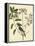 Catesby Bird and Botanical I-Mark Catesby-Framed Stretched Canvas