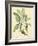 Catesby Bird and Botanical V-Mark Catesby-Framed Art Print