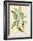 Catesby Bird and Botanical V-Mark Catesby-Framed Art Print