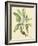 Catesby Bird and Botanical V-Mark Catesby-Framed Art Print