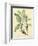 Catesby Bird and Botanical V-Mark Catesby-Framed Premium Giclee Print