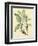 Catesby Bird and Botanical V-Mark Catesby-Framed Art Print