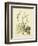 Catesby Bird & Botanical II-Mark Catesby-Framed Art Print