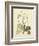 Catesby Bird & Botanical II-Mark Catesby-Framed Premium Giclee Print