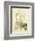 Catesby Bird & Botanical II-Mark Catesby-Framed Premium Giclee Print