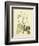 Catesby Bird & Botanical II-Mark Catesby-Framed Premium Giclee Print