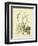 Catesby Bird & Botanical II-Mark Catesby-Framed Premium Giclee Print